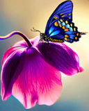 128x160 flower q7hfc4ur