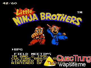 preview Little Ninja Brothers